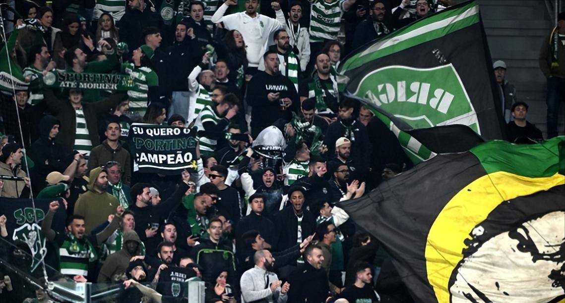 Kaiyun- 龙珠战斗力数值一览表 